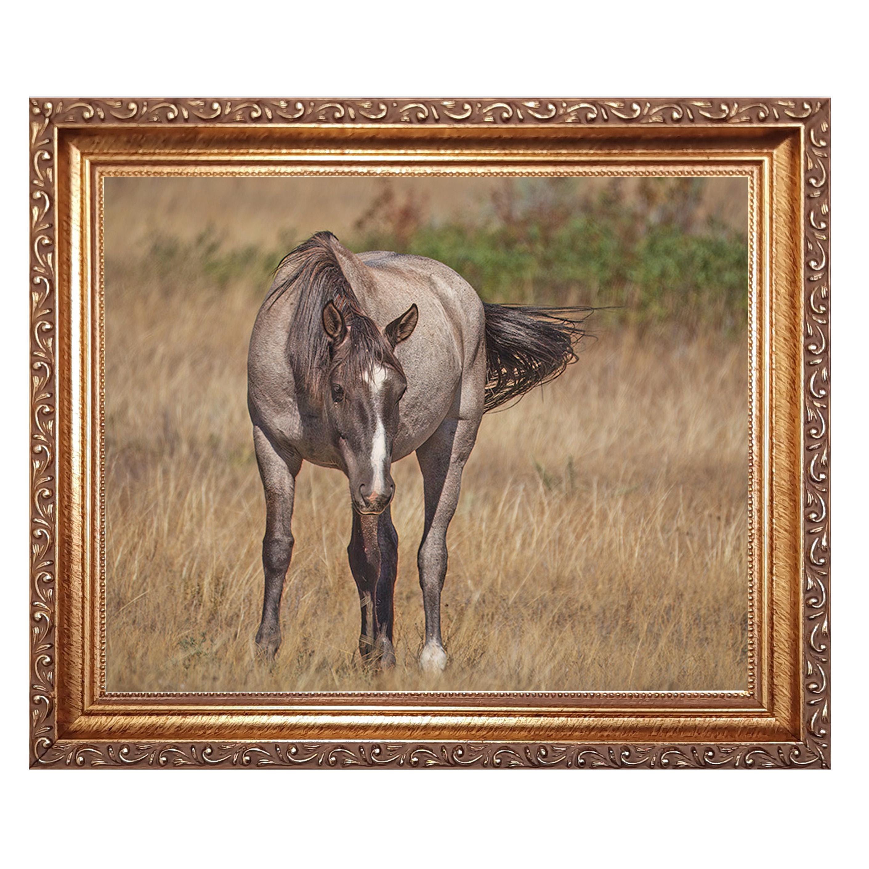 Custom Gold Framed Photo Print: Conservation Glass, Giclée Fine Art