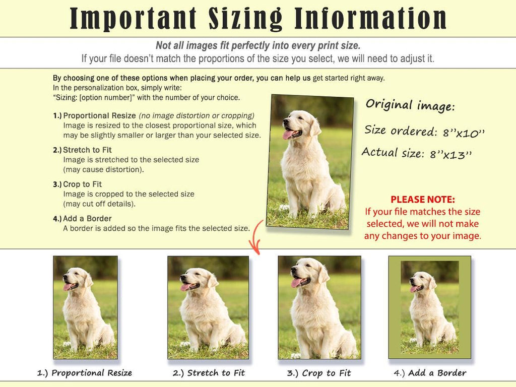 Custom Photo Poster Printing: Family Photos, Wedding Art, Kids Art, Graduation & Event Posters