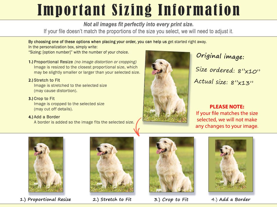 Custom Poster Printing Any Size: Family Photos, Wedding Art, Kids Art, Anime, Digital Downloads